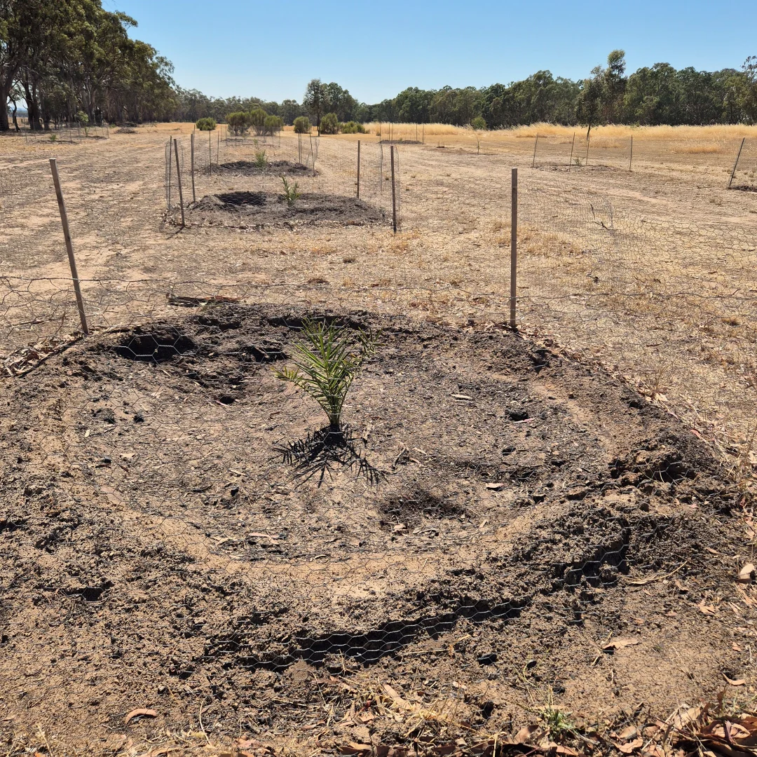 Additional image 4 of 192 Moyreisk Redbank Road, Redbank VIC 3477