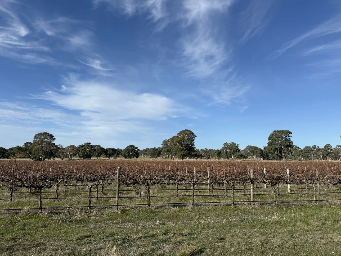 Additional image 12 of Lot 103 Dergholm Road, Penola SA 5277