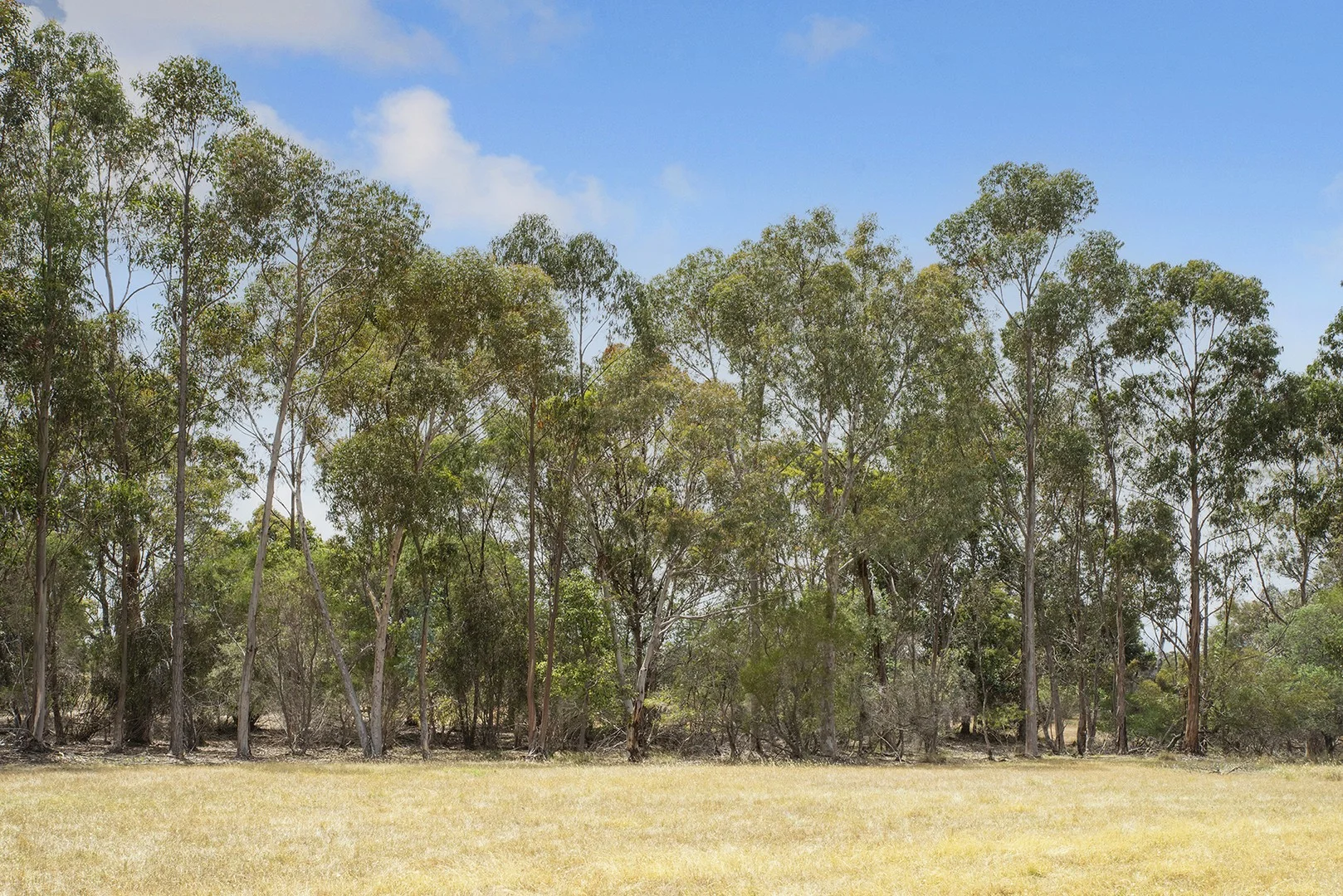 Additional image 4 of Stage 2C Preston River Rise, Boyanup WA 6237
