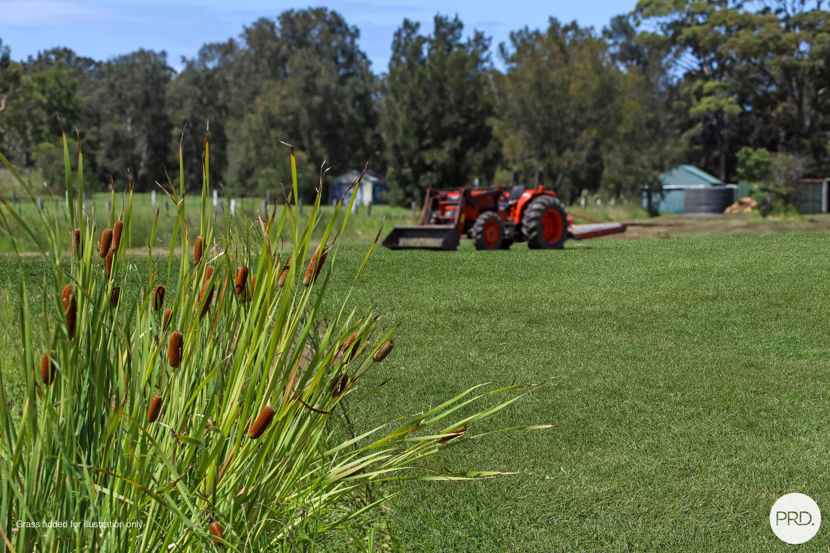 Additional image 3 of 136 Kanahooka Road, Kanahooka NSW 2530