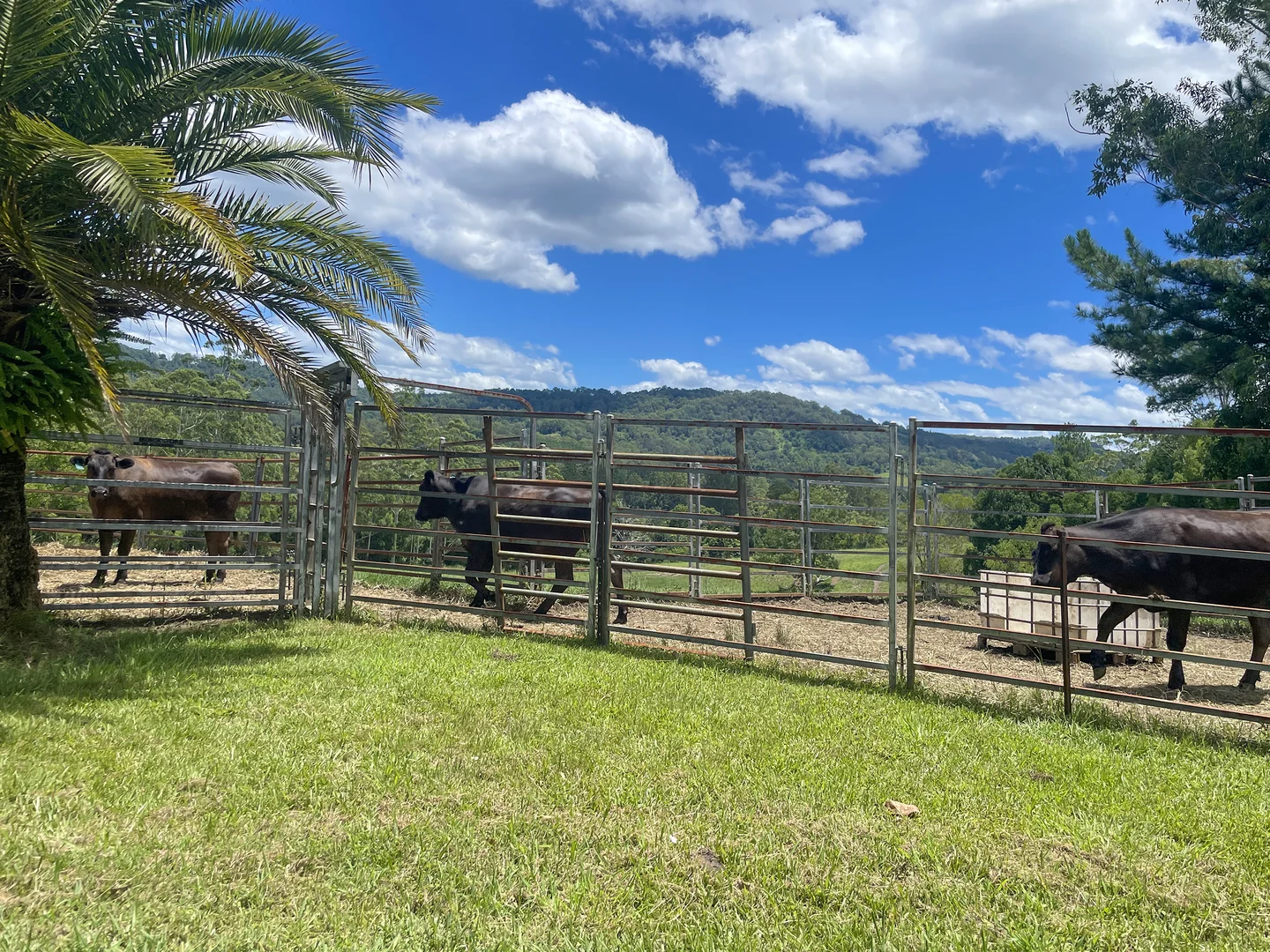 Additional image 38 of 94 Hutchinson Road, Nimbin NSW 2480