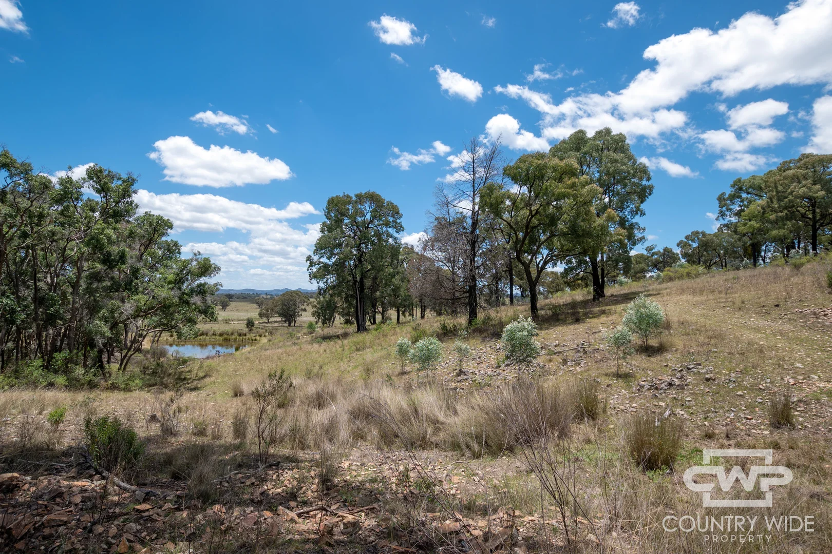 Additional image 5 of 162, 2202 Wellington Vale Road, Emmaville NSW 2371