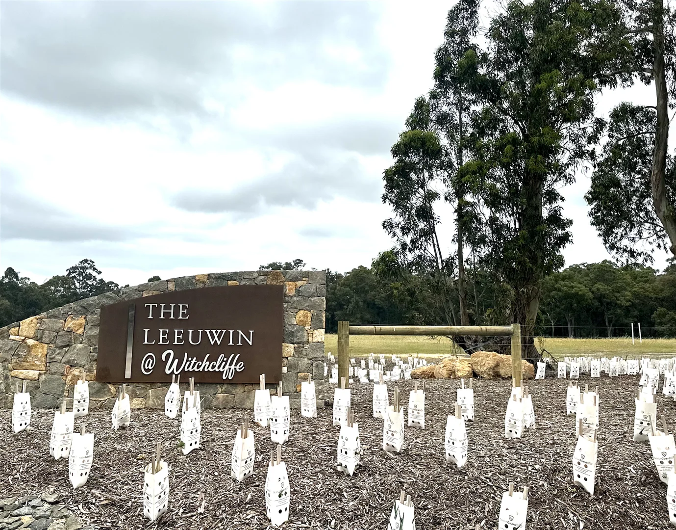 13 SENECIO WAY, Witchcliffe WA 6286