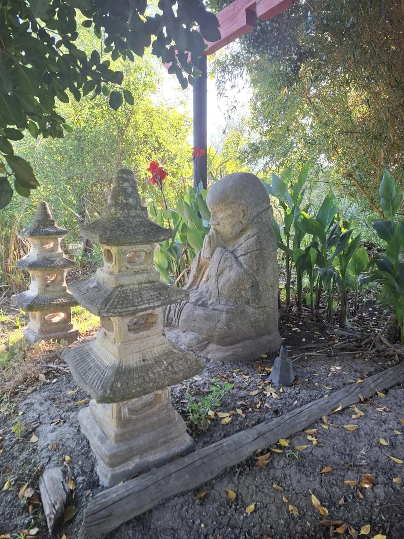 Additional image 34 of 16 Coolangatta Road, Coolangatta NSW 2535