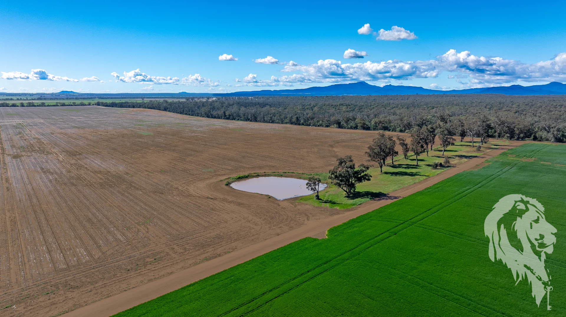 Additional image 17 of 13012 Newell Highway, Narrabri NSW 2390