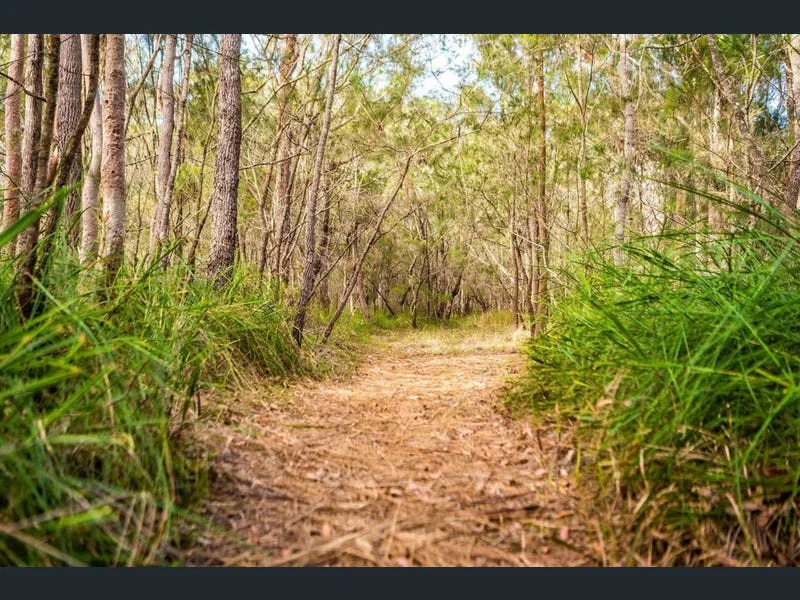 Additional image 11 of 9/2 MacLeay Drive, Halekulani NSW 2262