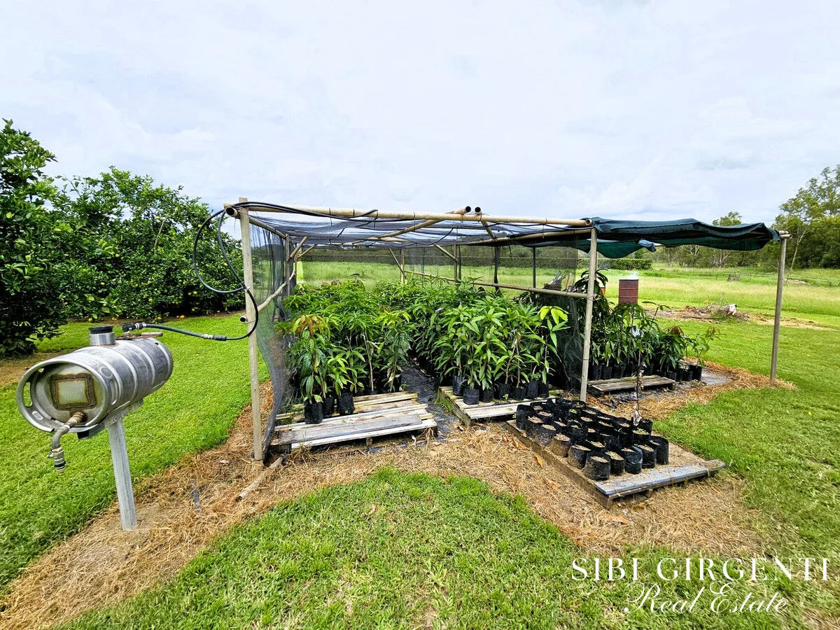 Additional image 24 of 994 Leafgold Weir Road, Dimbulah QLD 4872