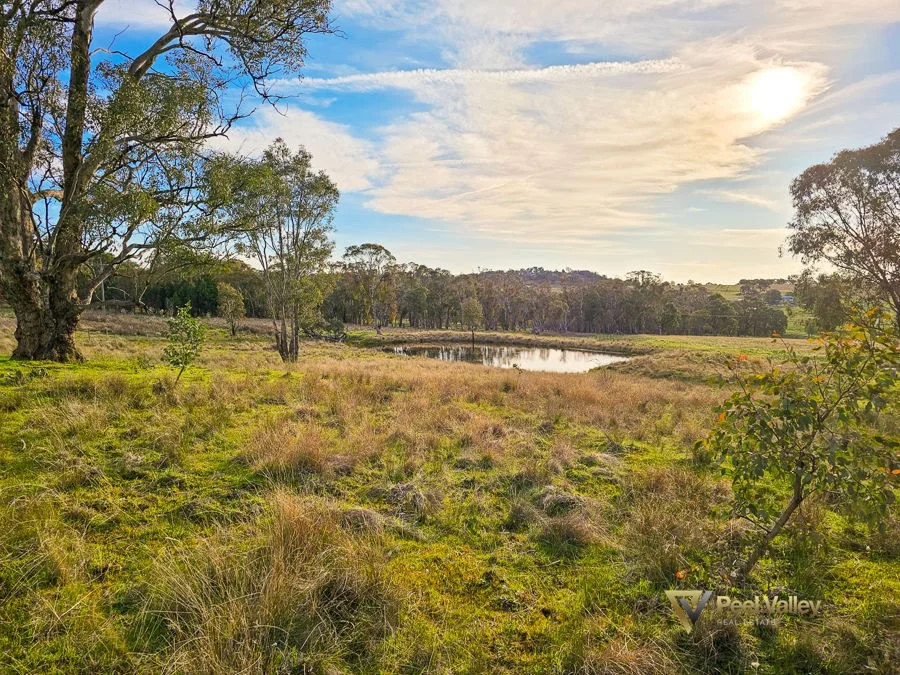 Additional image 24 of 829 New England Gully Road, Moonbi NSW 2353