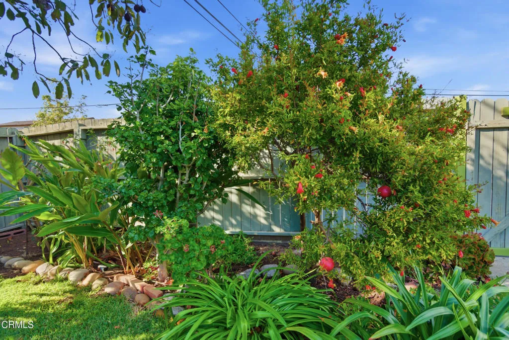 Additional image 100 of 189 Teloma Drive, Ventura, CA 93003