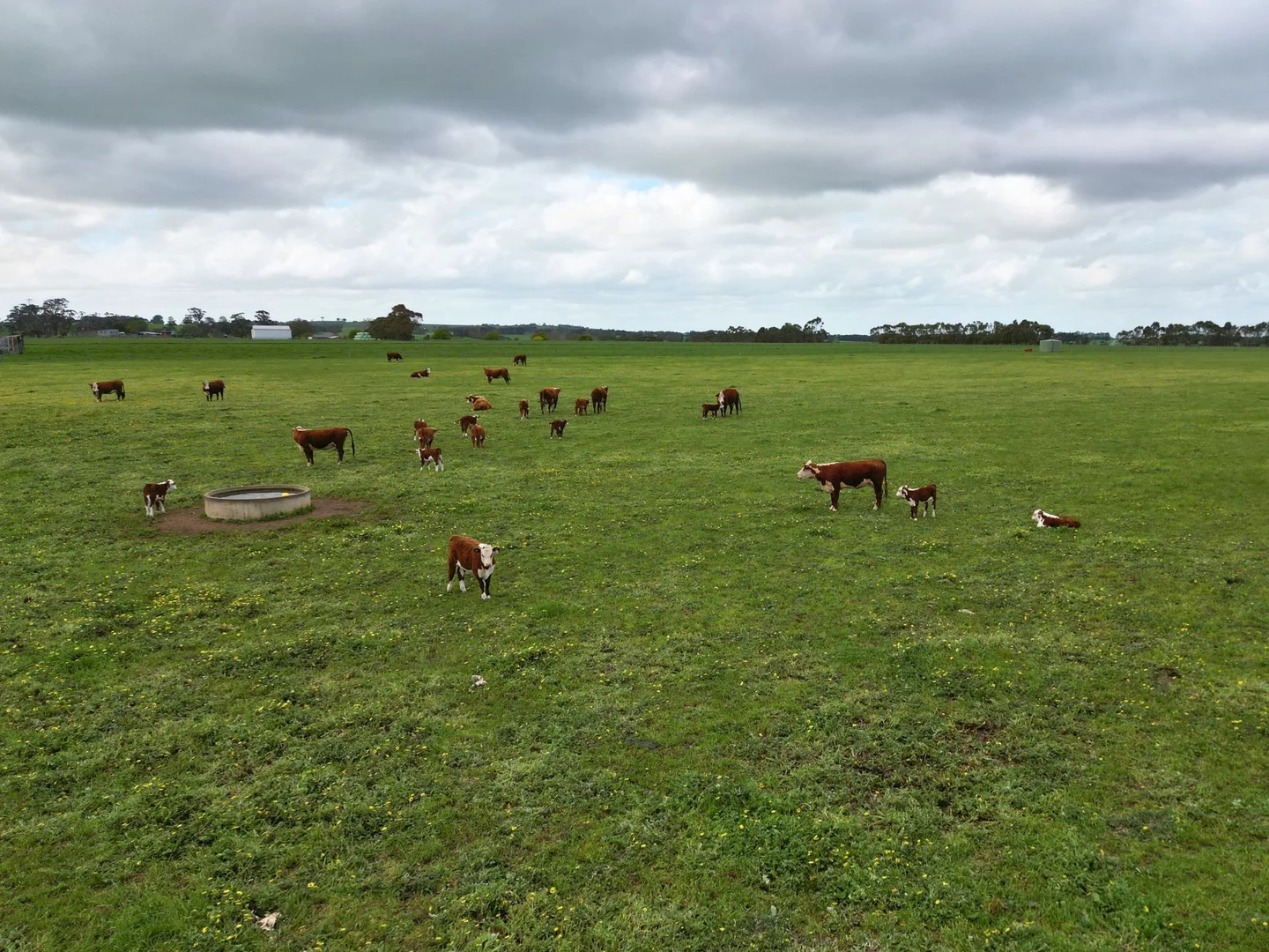 Additional image 7 of 1075 Larpent Road, Larpent VIC 3249