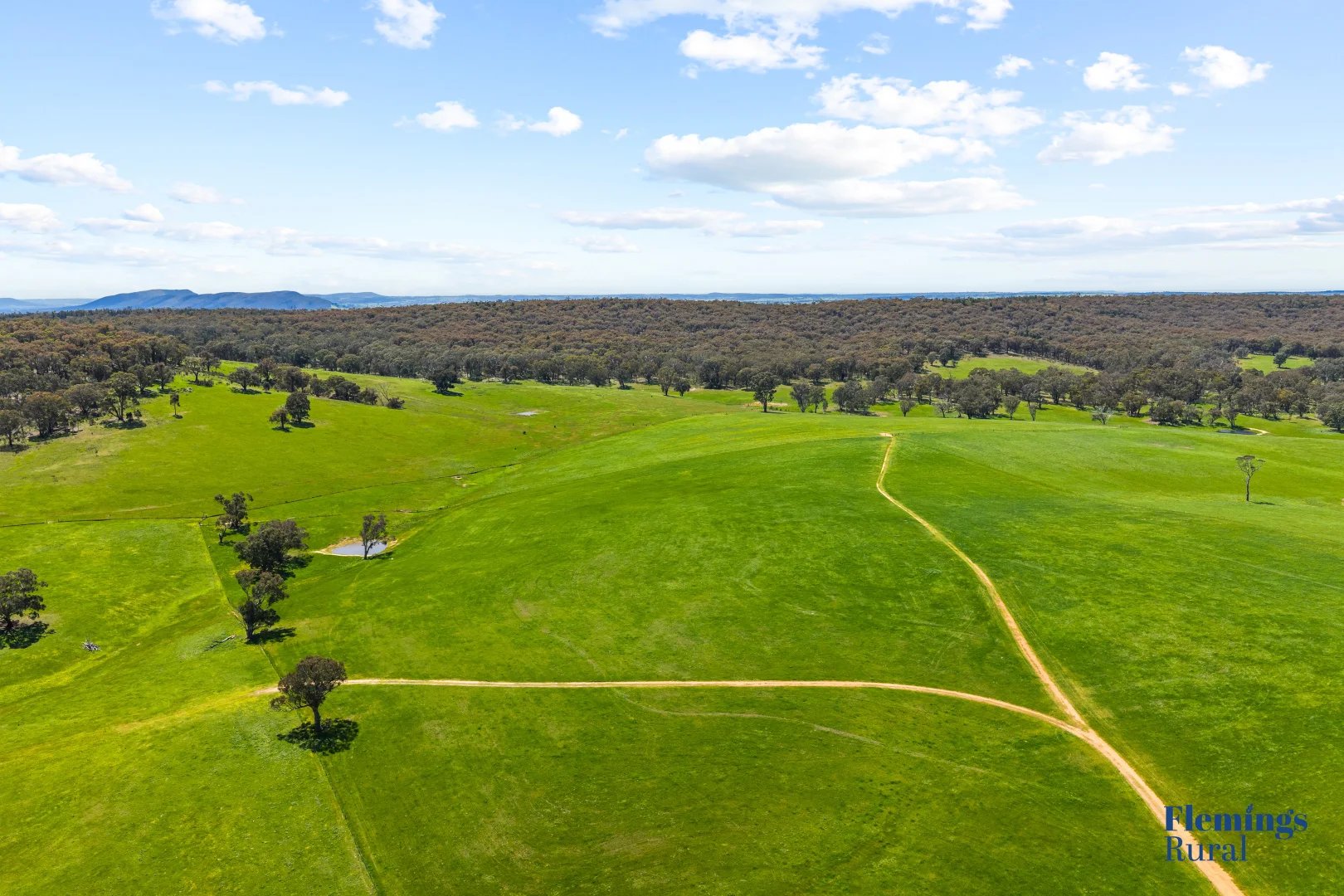 Additional image 4 of 105 Peakview Road, Young NSW 2594