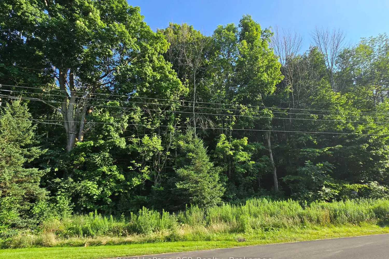 Additional image 9 of 130 Old Highway 26 Highway