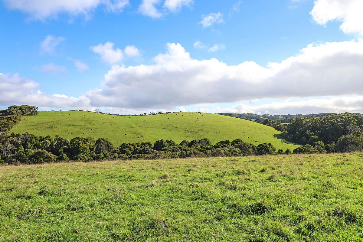 Additional image 20 of 105 Stafford Road, Johanna VIC 3238