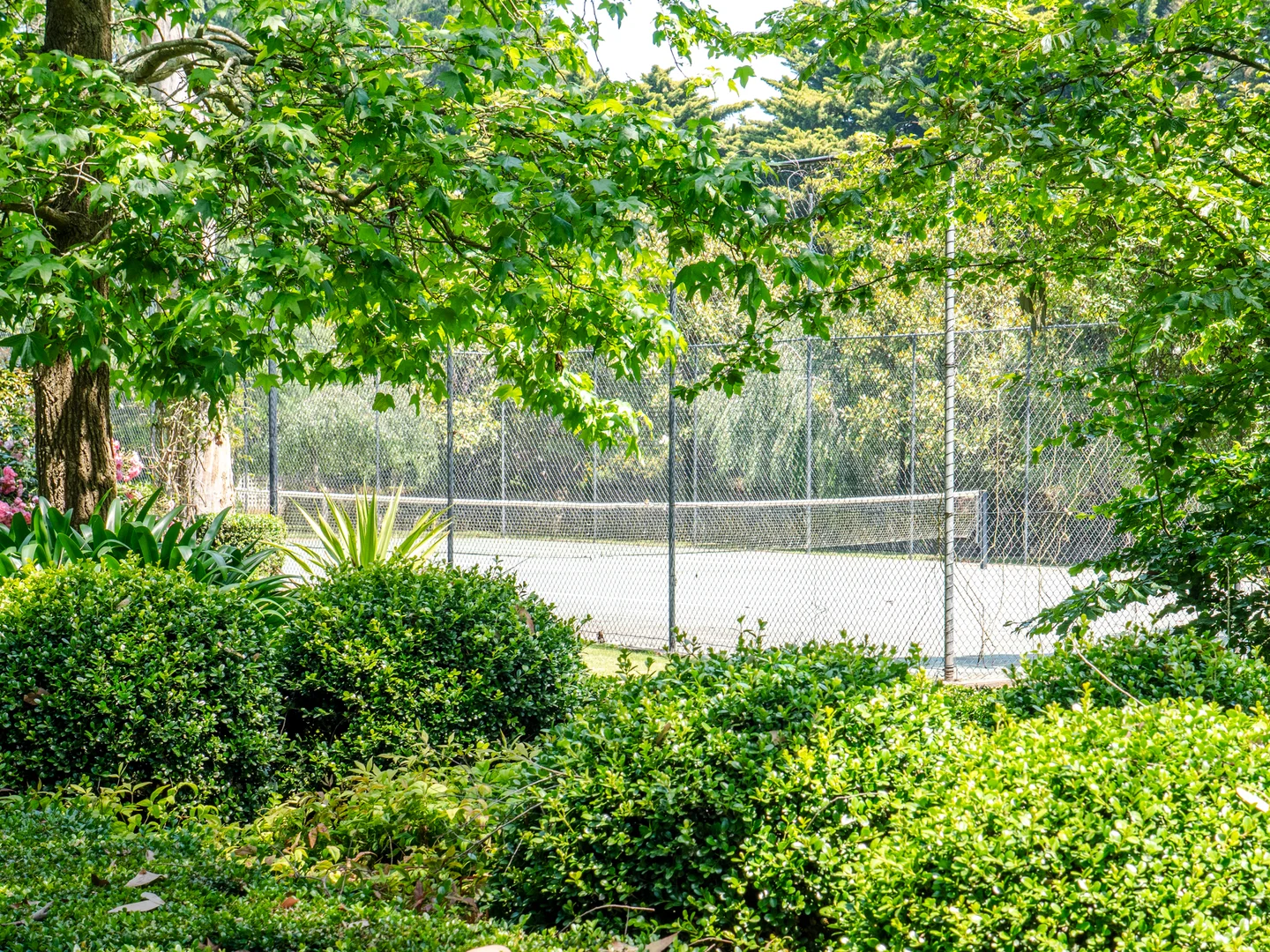 Additional image 56 of 60 Desmond Road, Wattle Bank VIC 3995