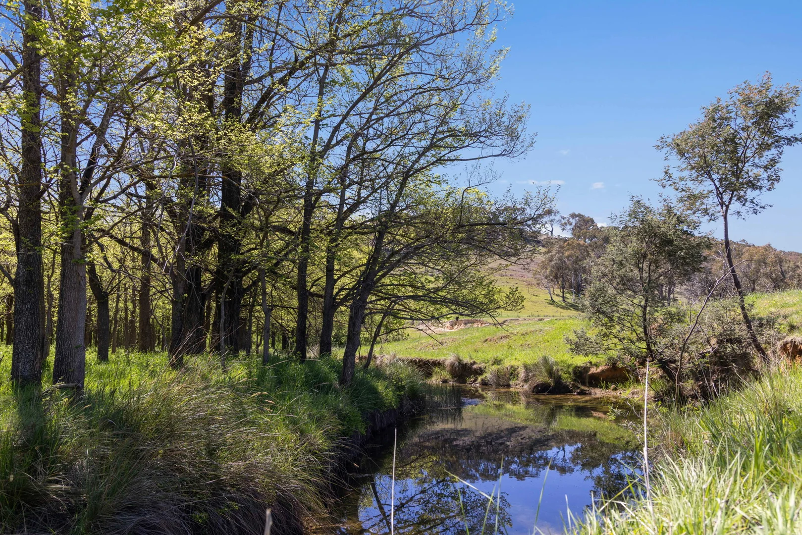 Additional image 26 of "Wattle Grove "1649 Coolalie Road, Yass NSW 2582