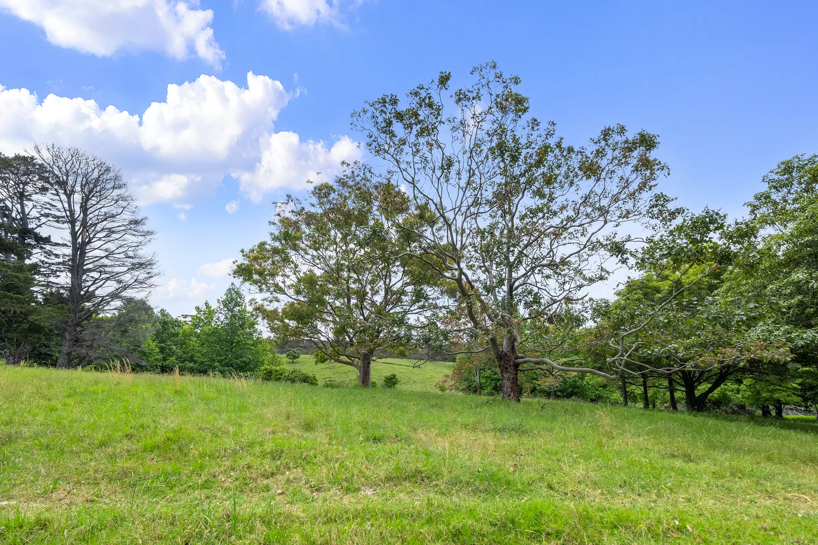 Additional image 5 of Kurrajong Heights NSW 2758