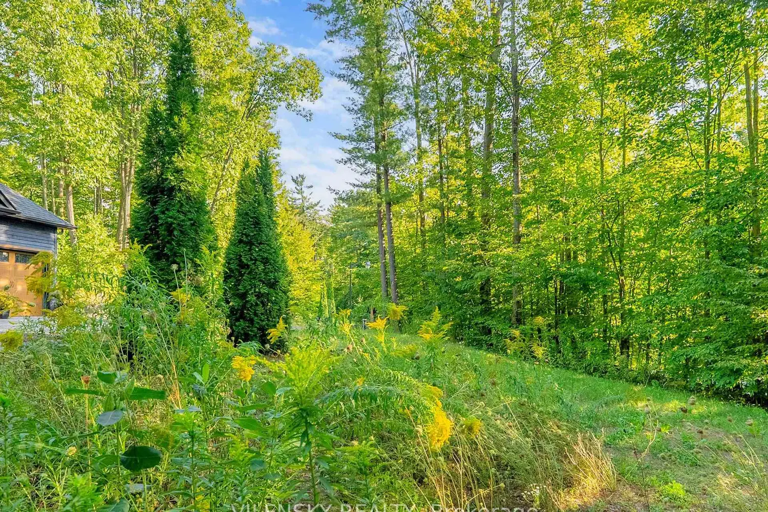 Additional image 6 of 9 Moran Street