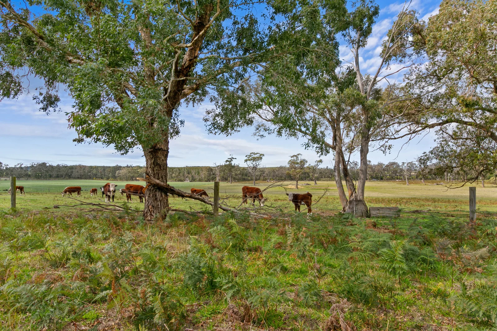 Additional image 3 of Stradbroke VIC 3851