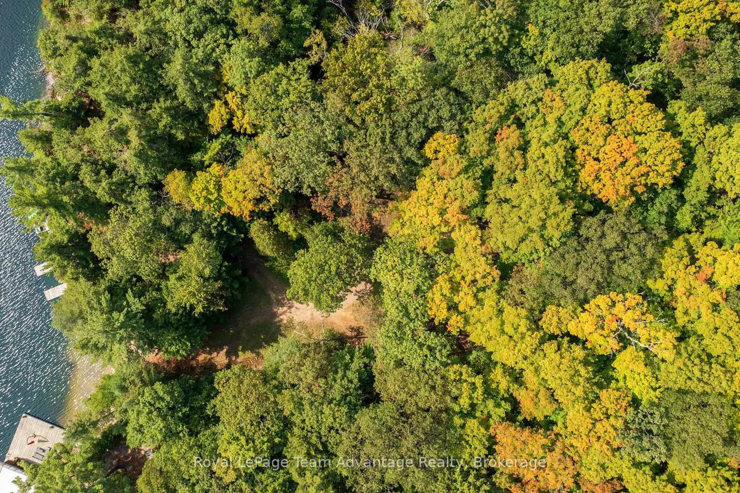 Additional image 17 of 11 Veronica Gene Lane