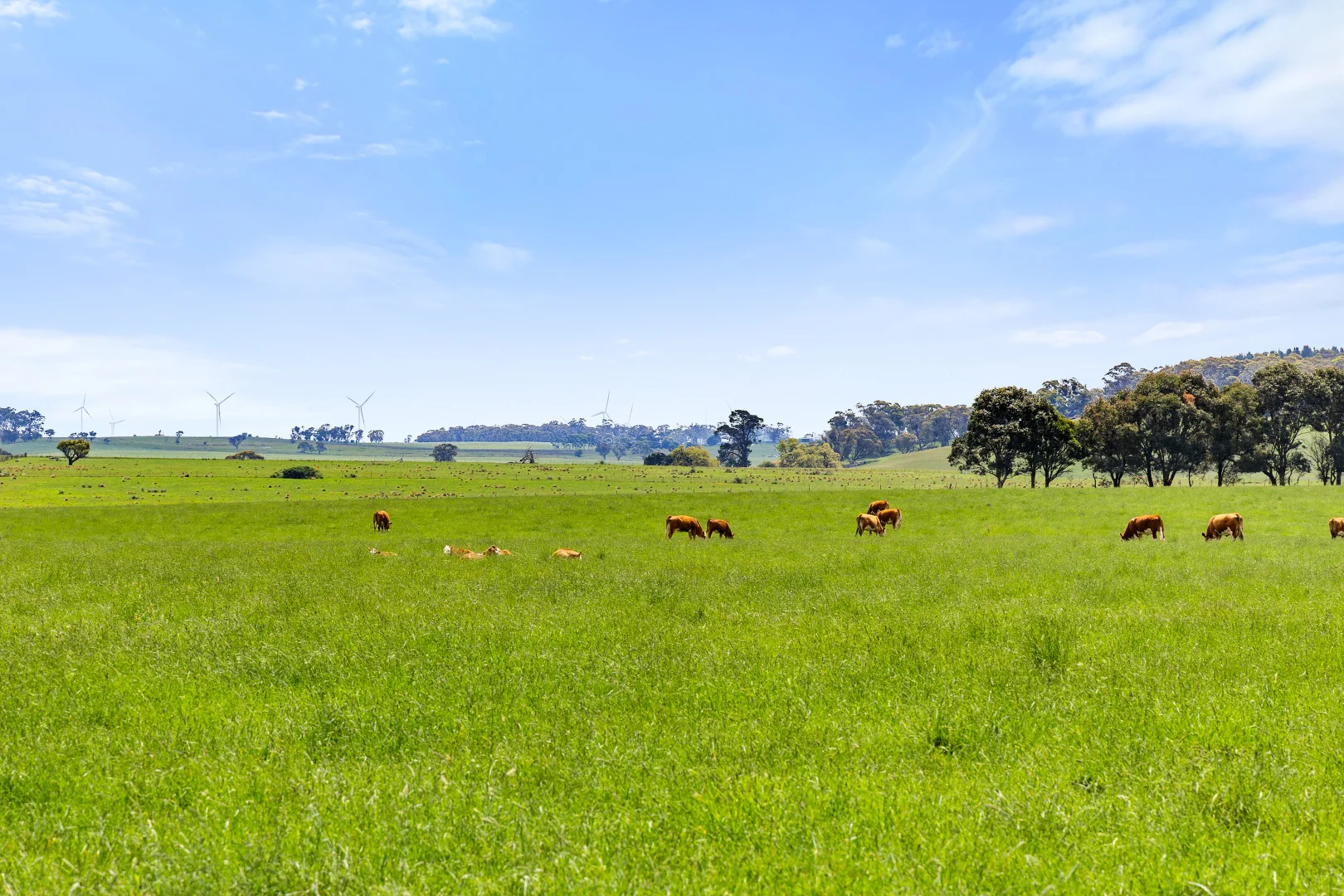Additional image 59 of 192 Dawsons Creek Road Bannister Via, Crookwell NSW 2583