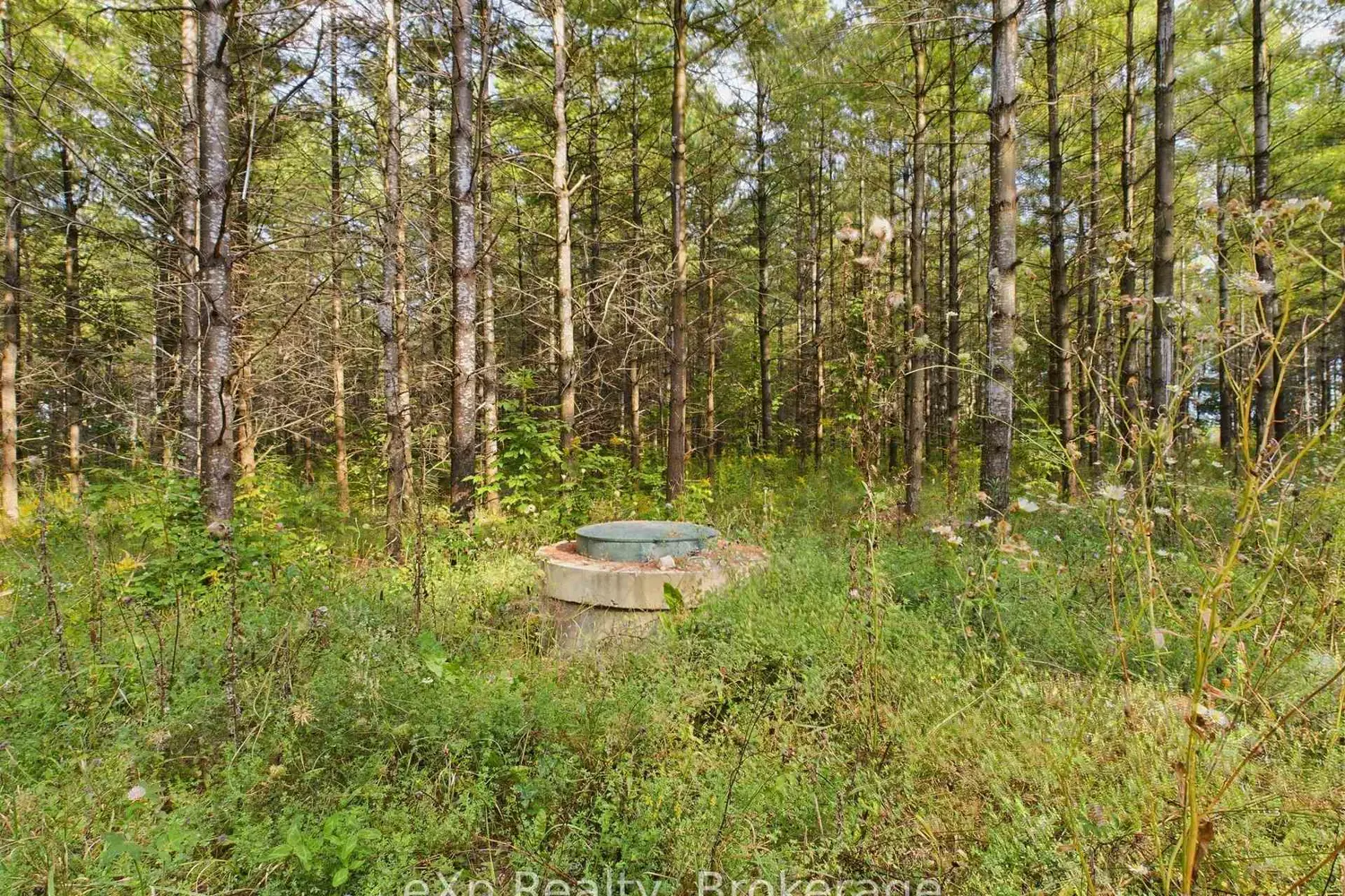 Additional image 12 of 502265 Concession 10 Ndr Concession