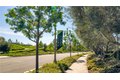 Additional image 45 of 142 Firefly, Irvine, CA, 92618