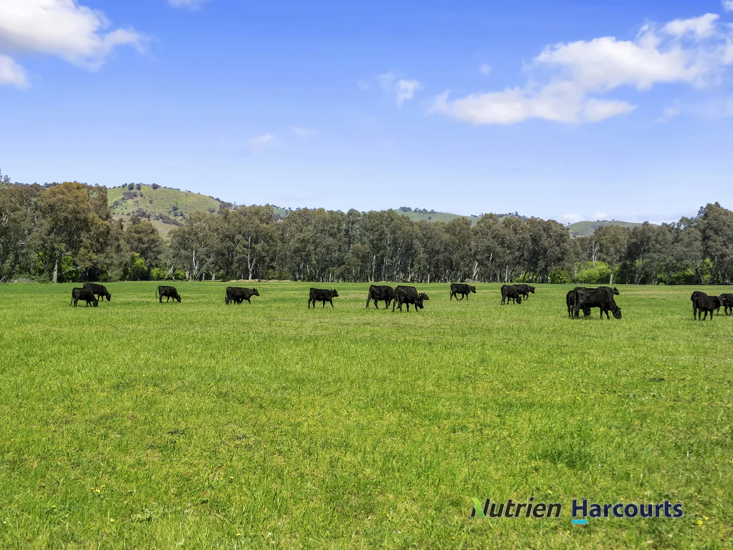 Additional image 2 of 26 Baynes Road, Molesworth VIC 3718