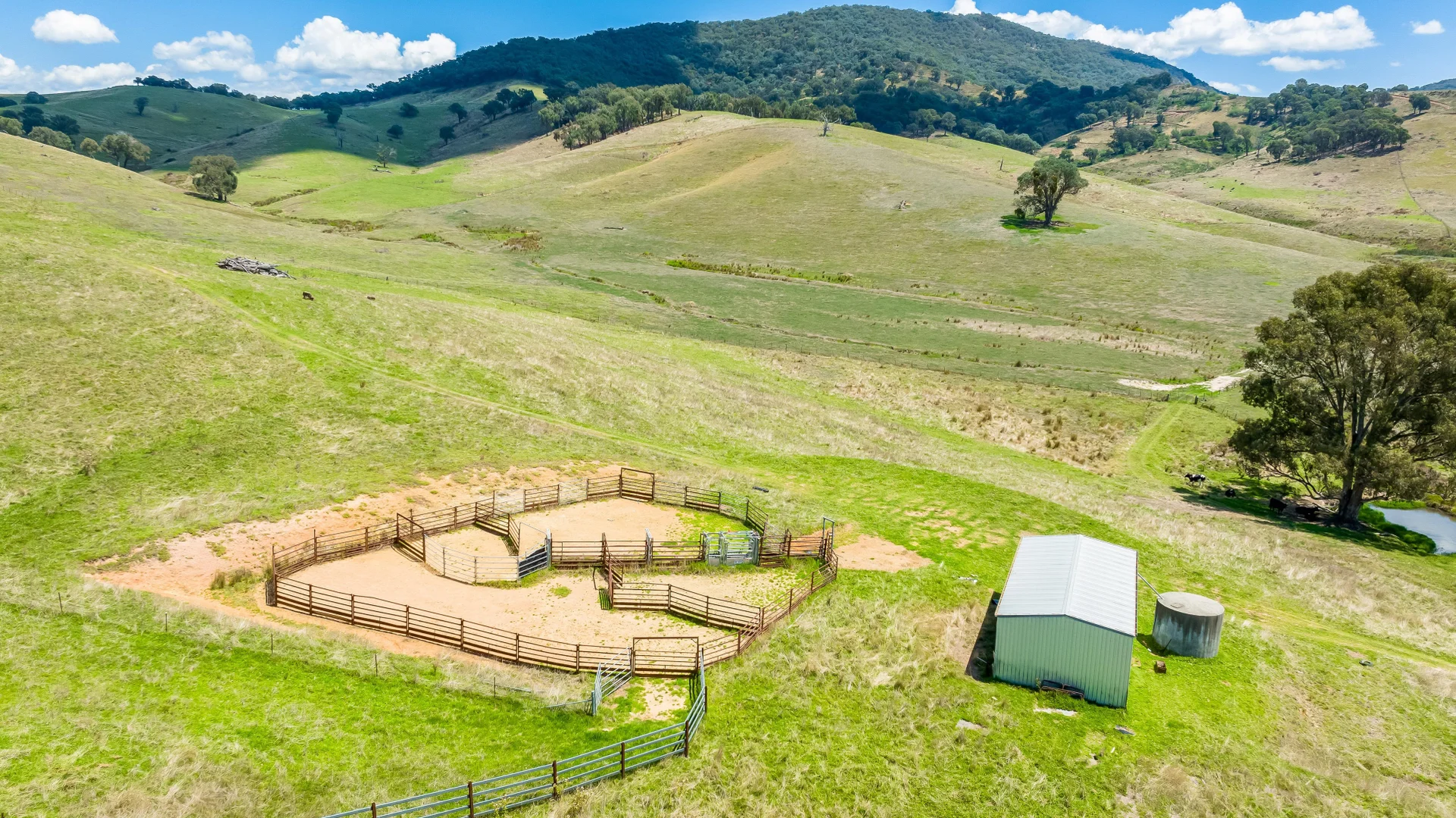 Additional image 8 of "Tom's" Tallys Lane, Tallangatta Valley VIC 3701