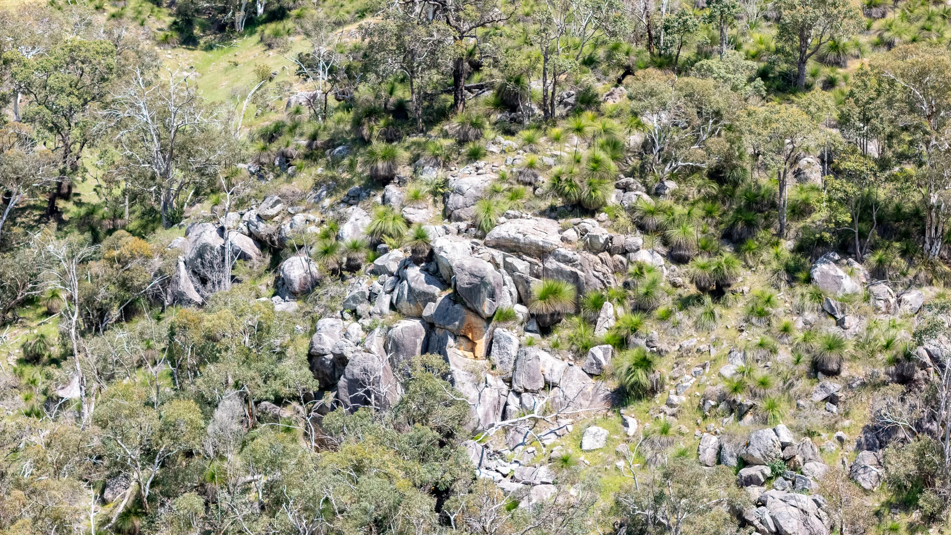 Additional image 14 of North Dandalup WA 6207