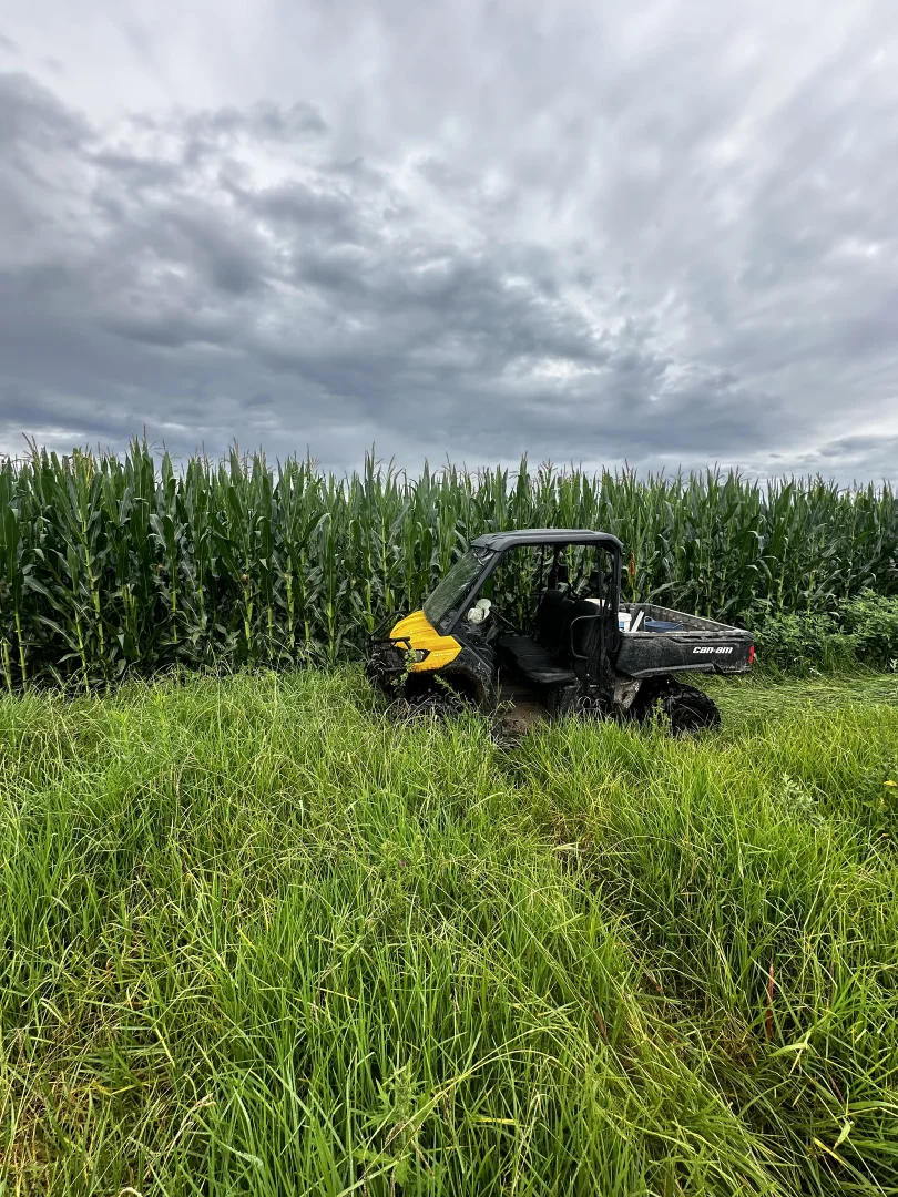 Additional image 3 of 119 Duck Creek Road, Old Bonalbo NSW 2469