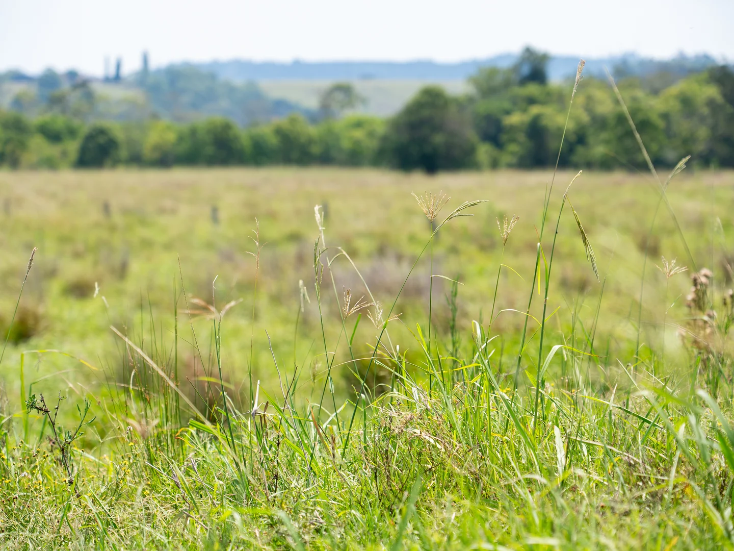 Additional image 4 of 279 Gundurimba Road, Monaltrie NSW 2480