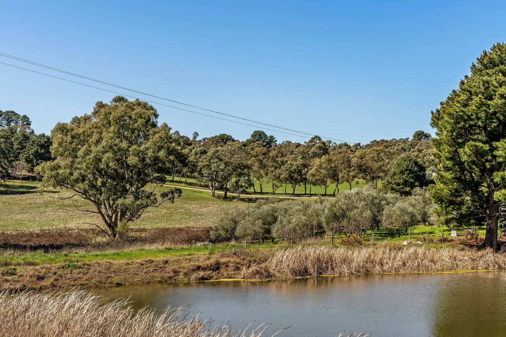 Additional image 19 of 144 Murray Road, Paracombe SA 5132