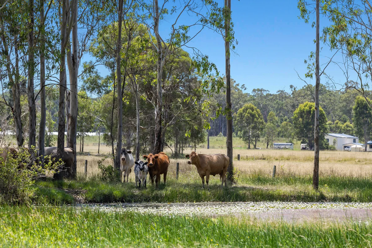 8855 Summerland Way, Leeville NSW 2470