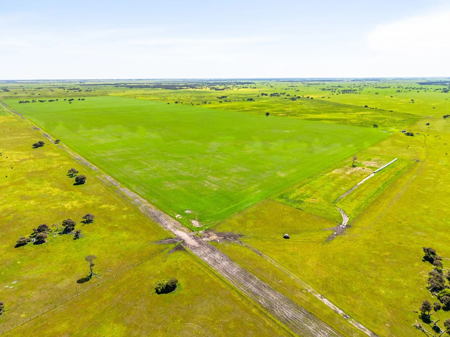 Additional image 11 of 641 Minnie Crowe Road, Avenue Range SA 5273