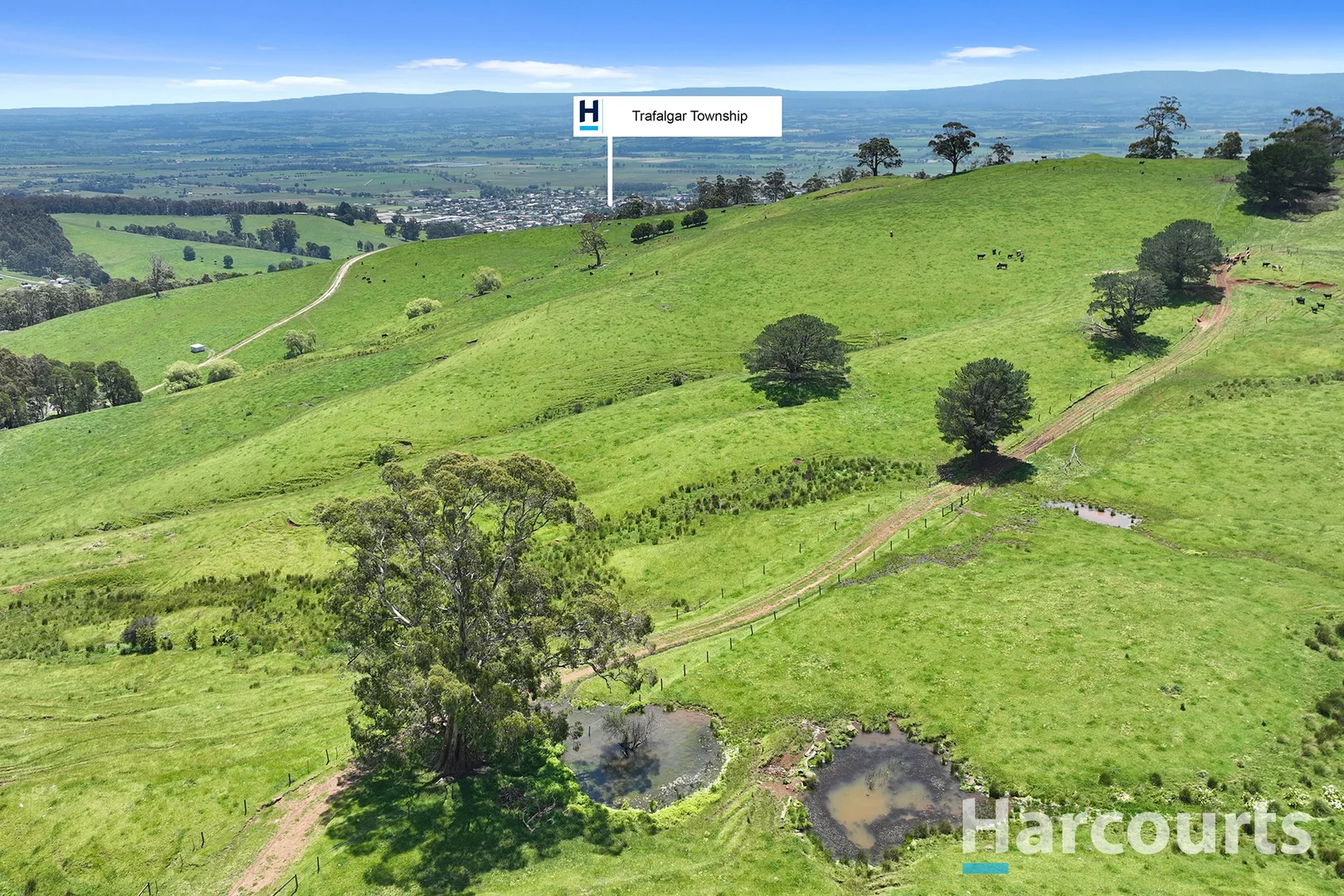 Additional image 13 of 1246 Trafalgar Thorpdale Road, Trafalgar South VIC 3824