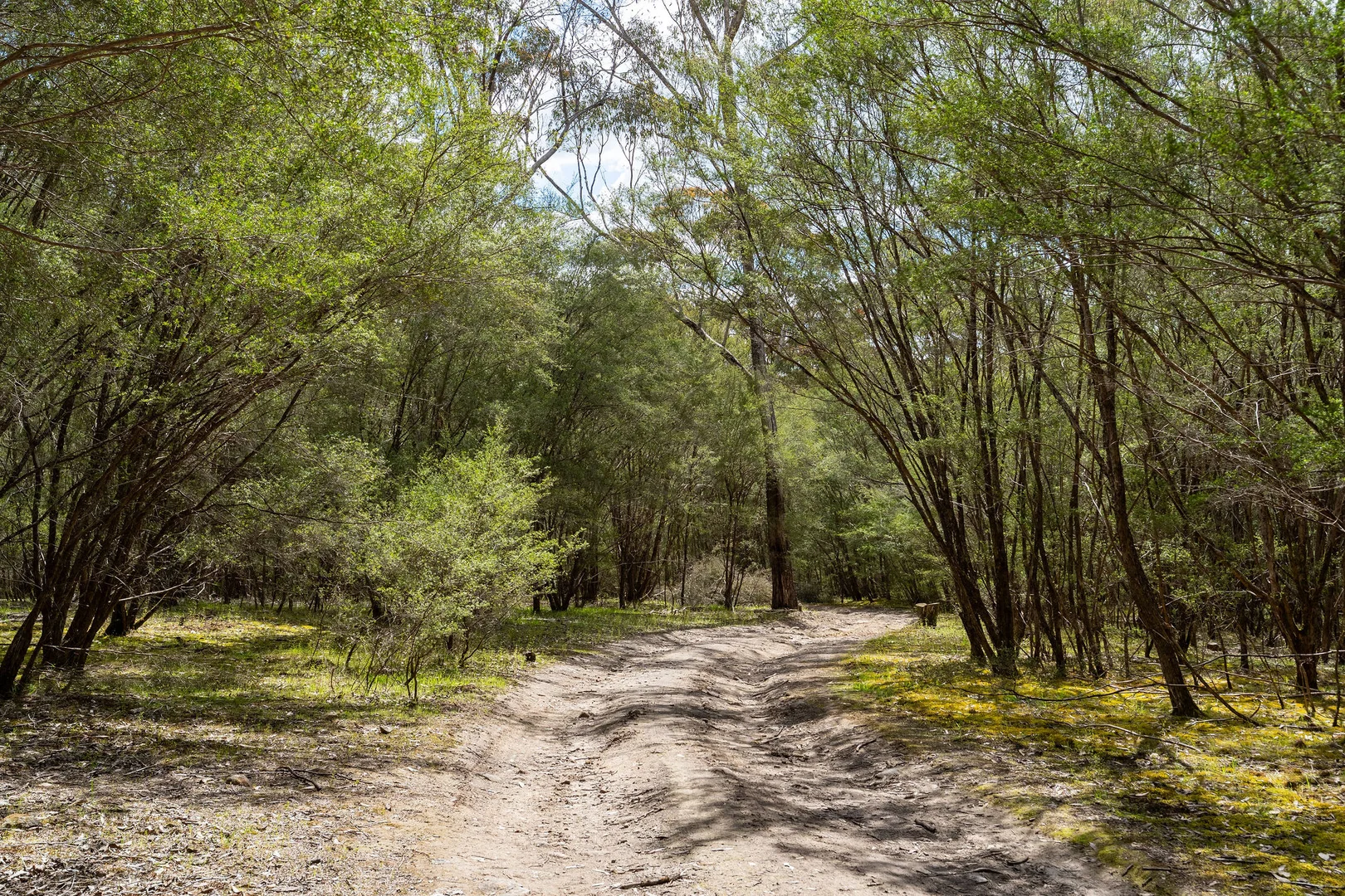 Additional image 12 of 368 Rubicon Road, Rubicon VIC 3712