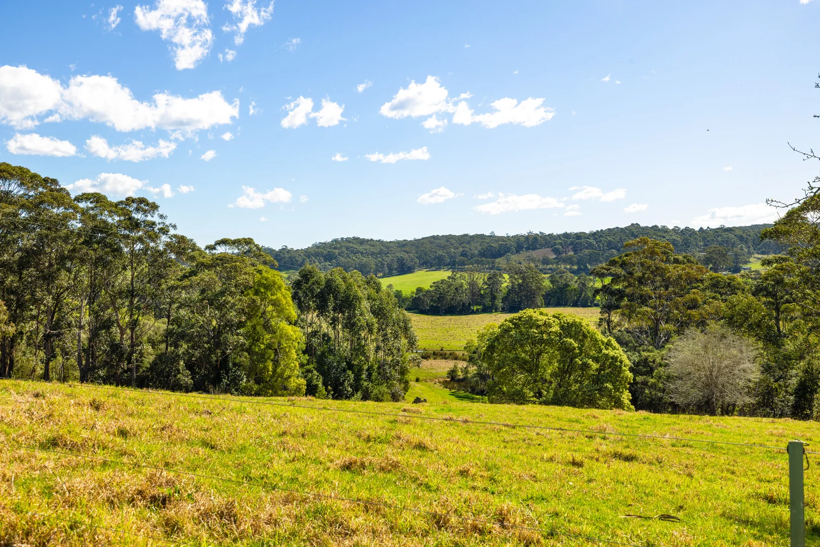Additional image 48 of 218 Cabbage Tree - Conran Road, Cabbage Tree Creek VIC 3889