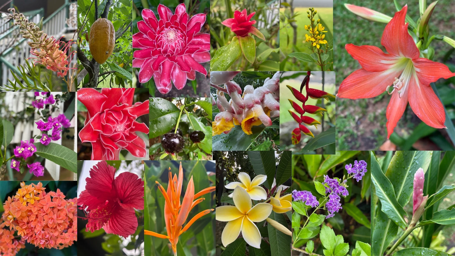 Additional image 36 of 6 Timana Tce, Wongaling Beach QLD 4852