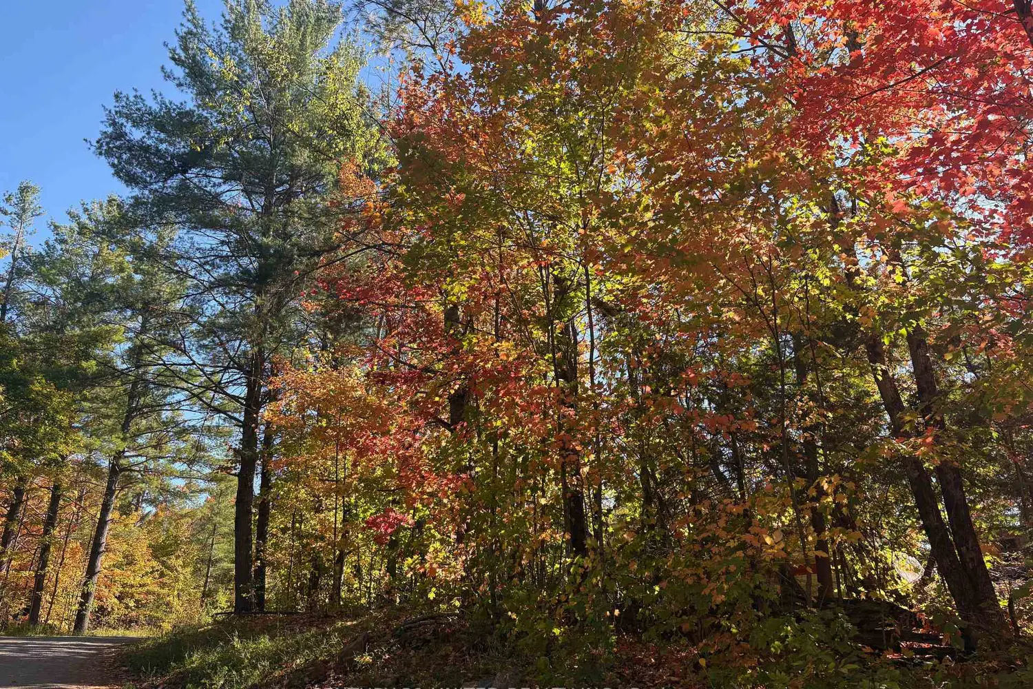 N/A Twin Sister Lakes Road