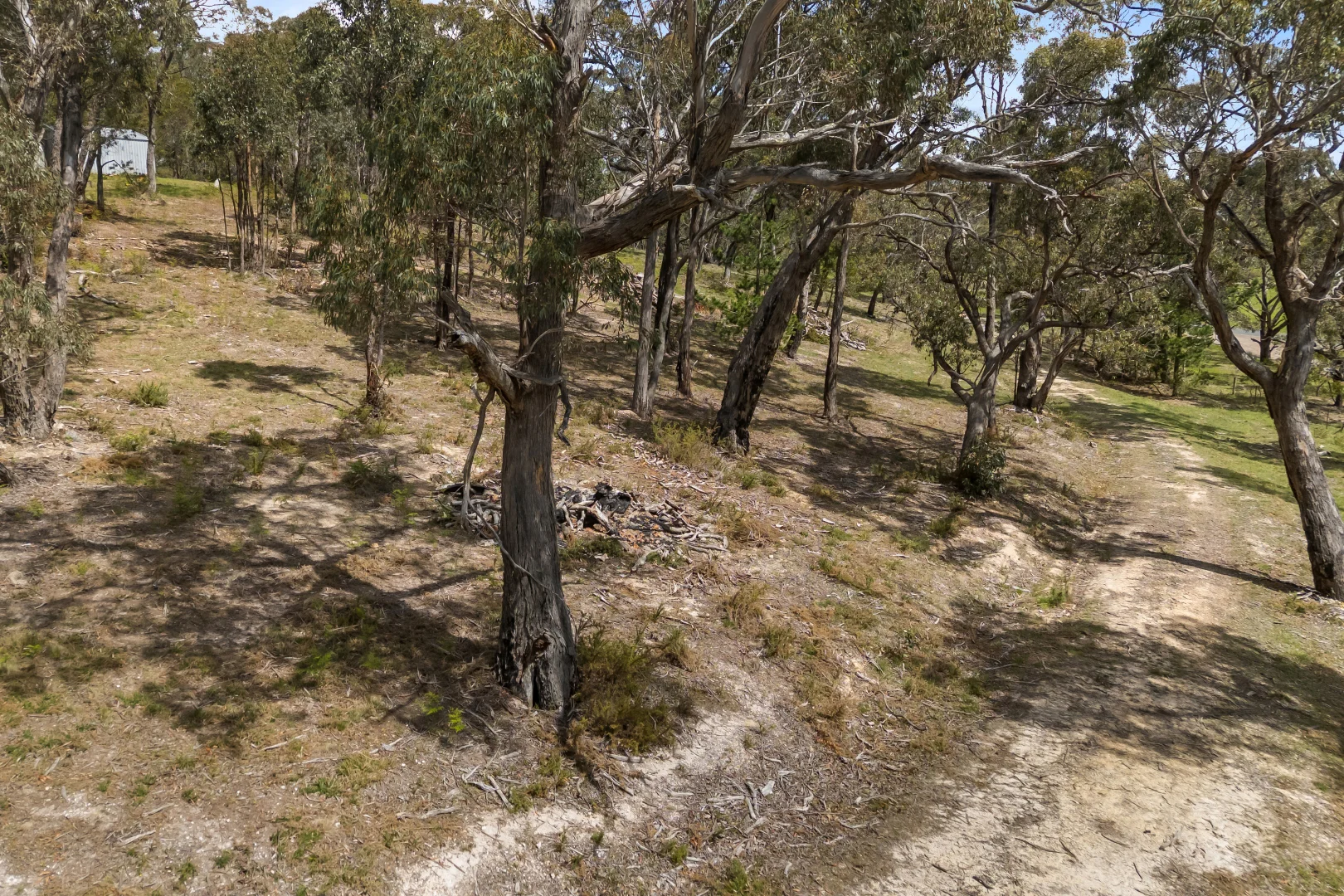 Additional image 11 of 628 Linton-carngham Road, Snake Valley VIC 3351