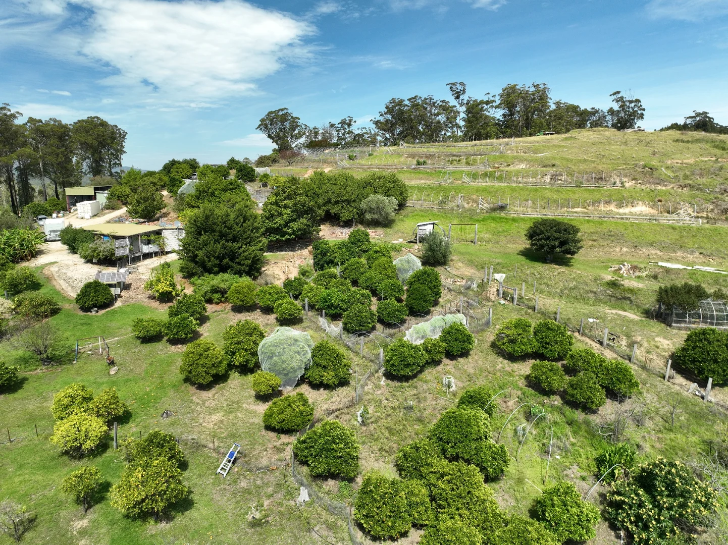 Additional image 7 of 177 Maramingo Road, Maramingo Creek VIC 3891
