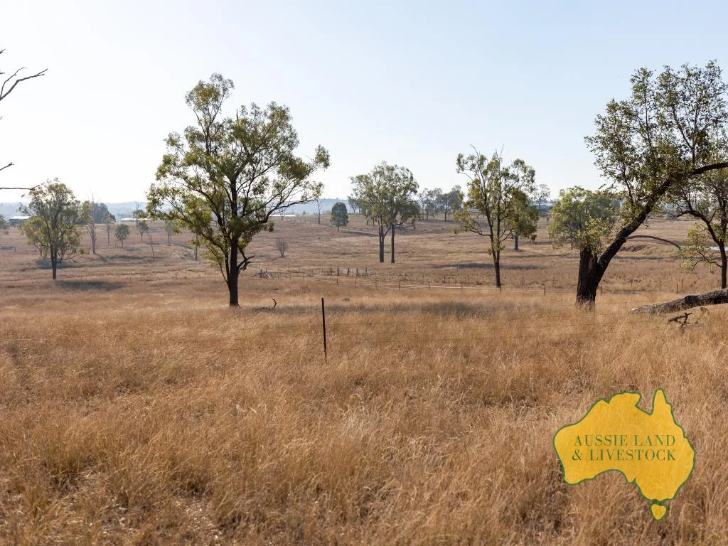 Additional image 46 of 110 BENHAMS ROAD, Mundubbera QLD 4626