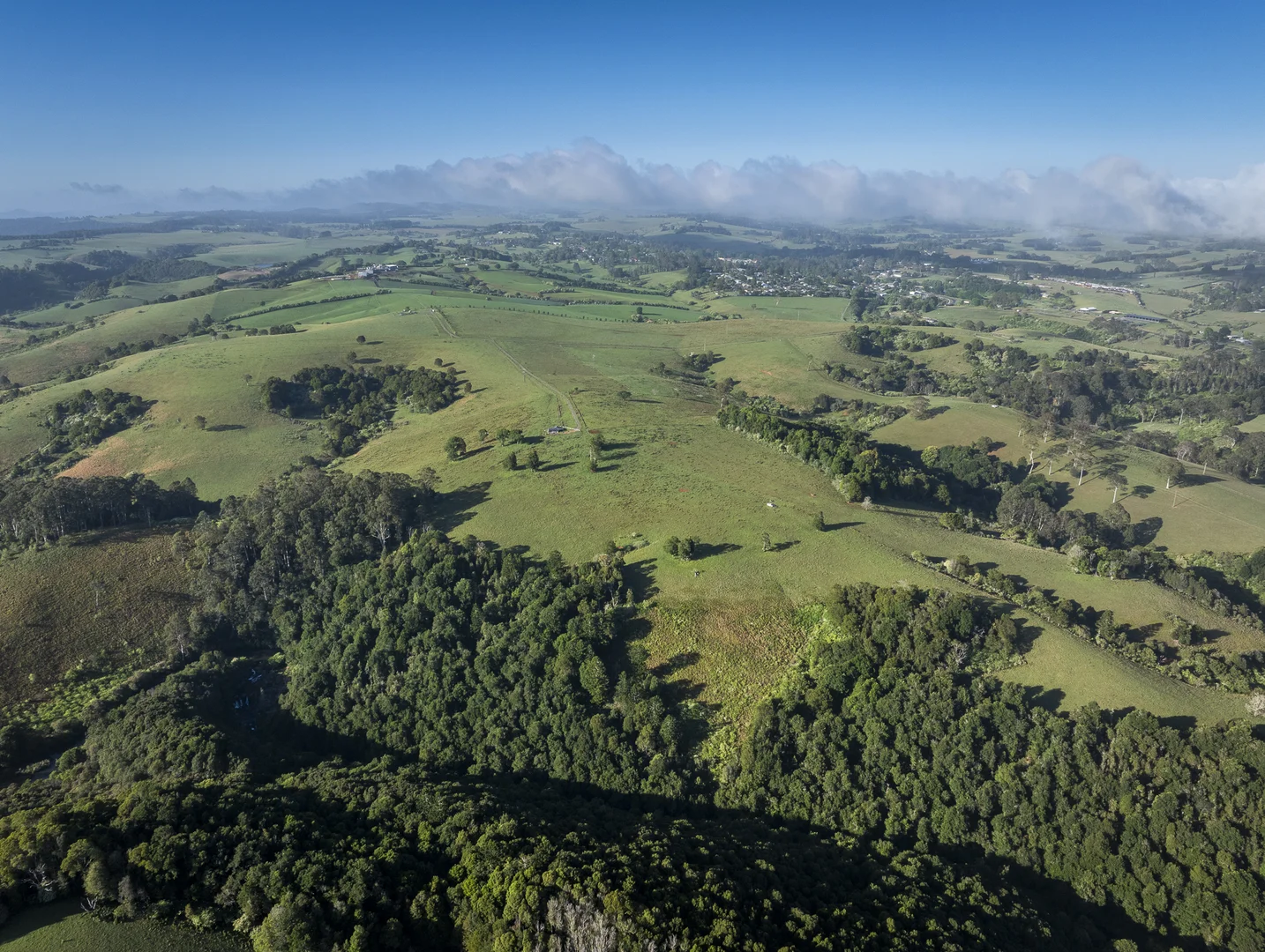 Additional image 10 of 294 Coramba Road, Dorrigo NSW 2453