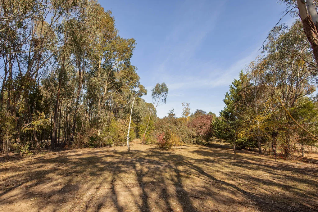 Additional image 9 of 7 Silver Creek Avenue, Yackandandah VIC 3749