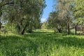 Additional image 51 of 13575 Mammini Ct, San Martin, CA, 95046