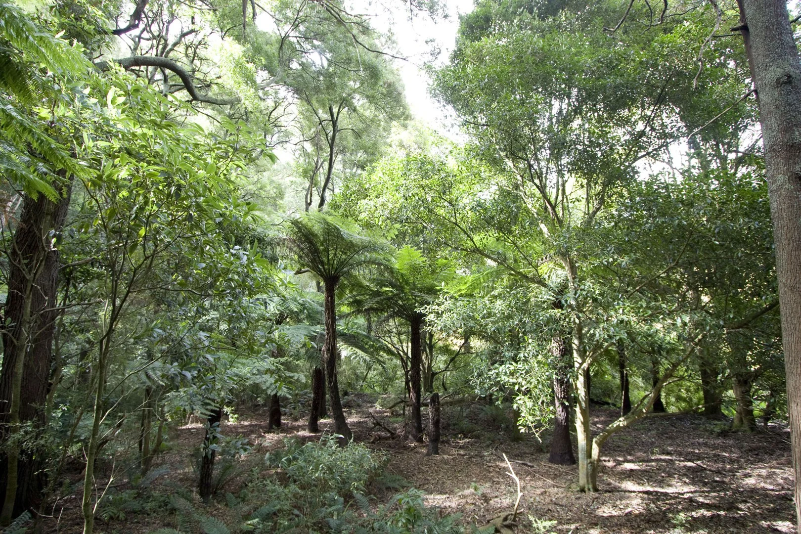 Additional image 9 of 273 Boolarra-Foster Road, Foster VIC 3960