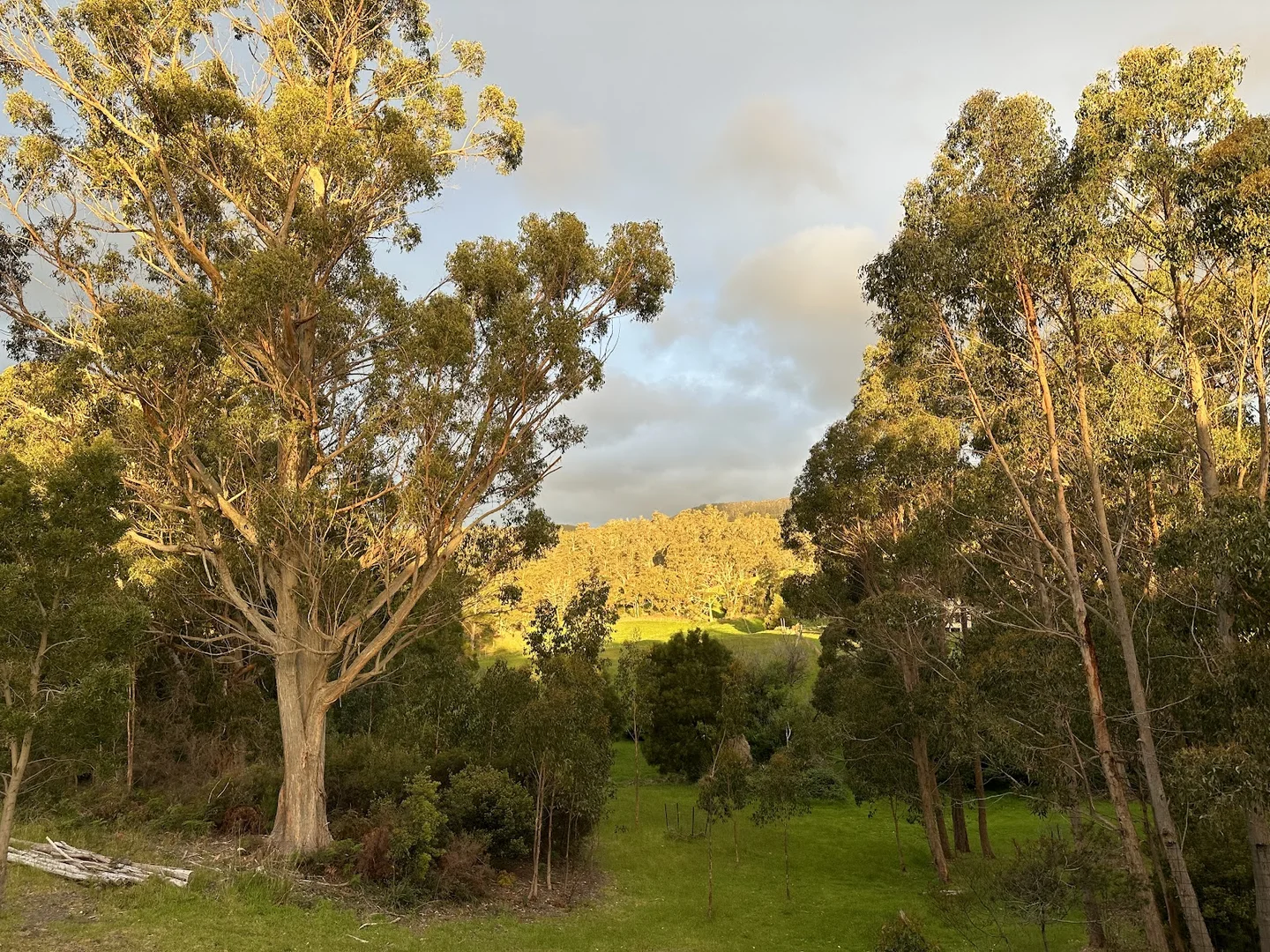 Additional image 17 of 211/1583 Nubeena Road, Nubeena TAS 7184