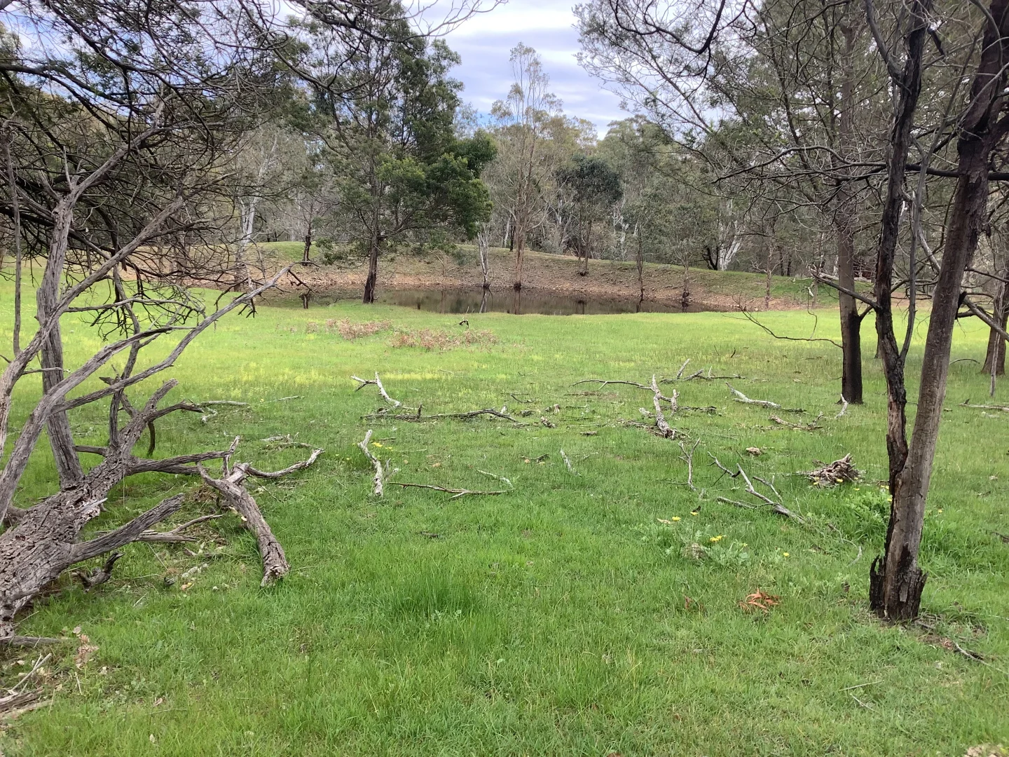 Additional image 3 of 20 Chetwynd Road, Whiteheads Creek VIC 3660