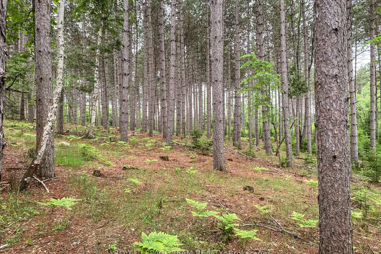 Additional image 14 of 1477 Watsons Corners Road