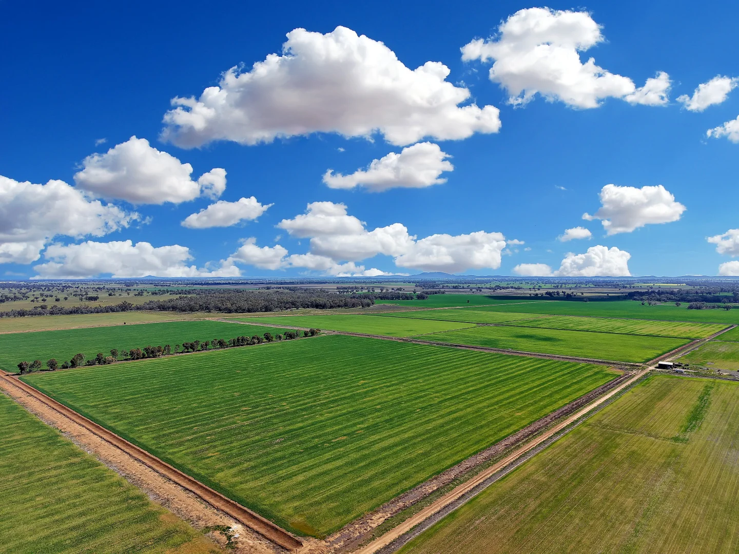 Additional image 4 of 4005 Lachlan Valley Way, Forbes NSW 2871